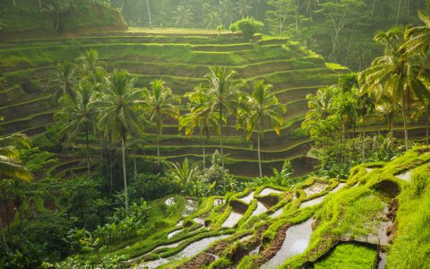 Bali niesamowity wyjazd z DiscoverAsia (6)-min.jpg